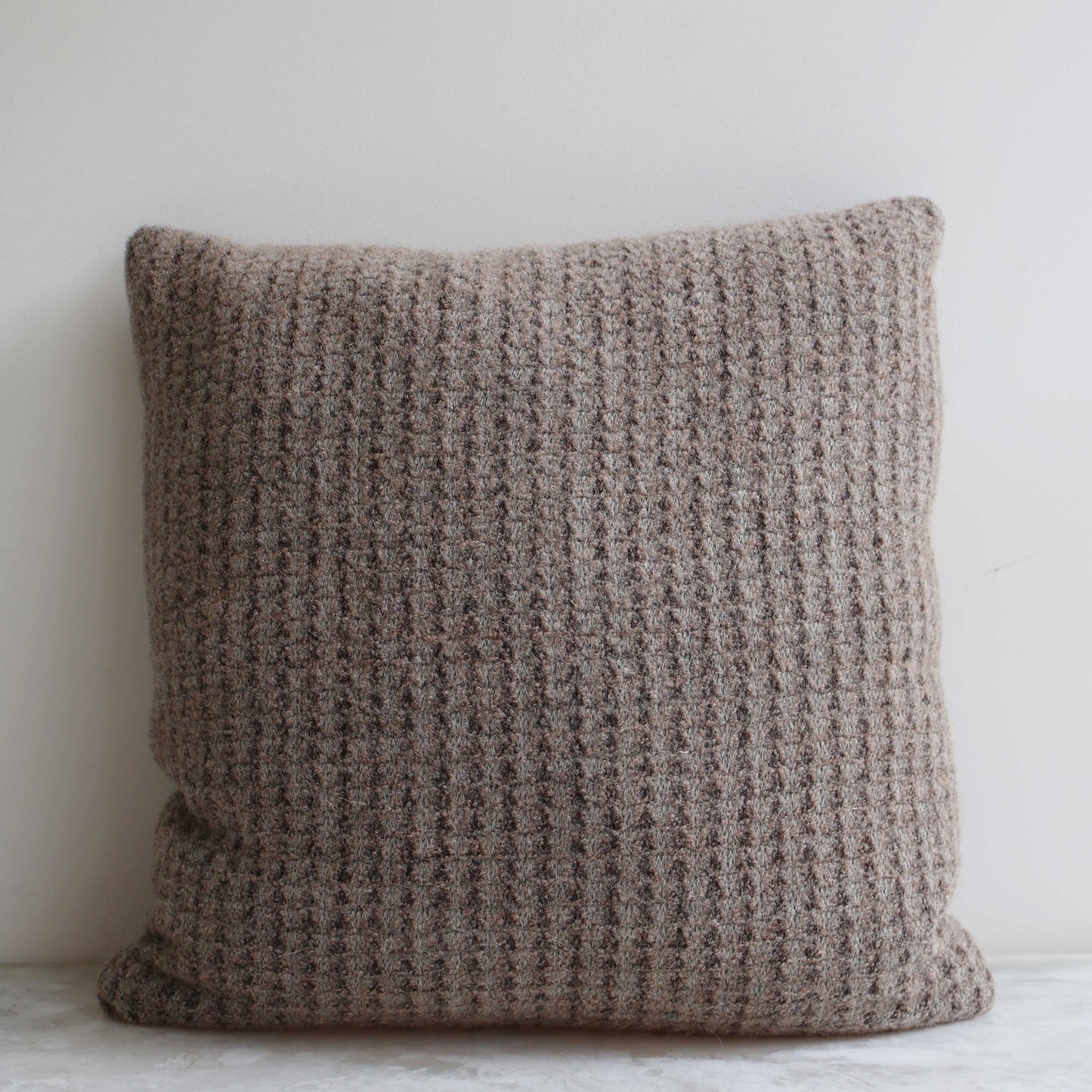 Wool Knit in Mushroom Pillow - 22"