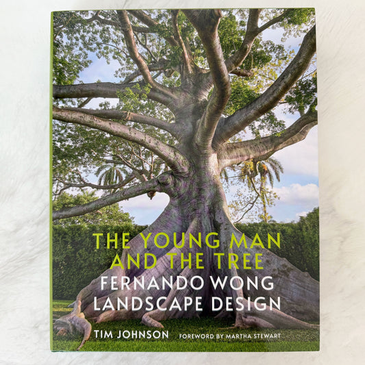 The Young Man and the Tree: Fernando Wong Landscape Design