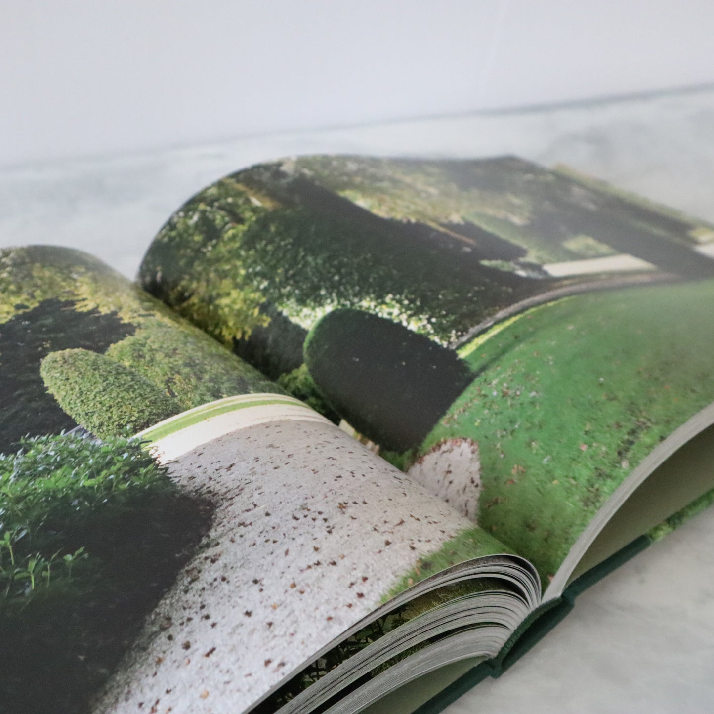 Michel Delvosalle: Garden & Landscape Architect