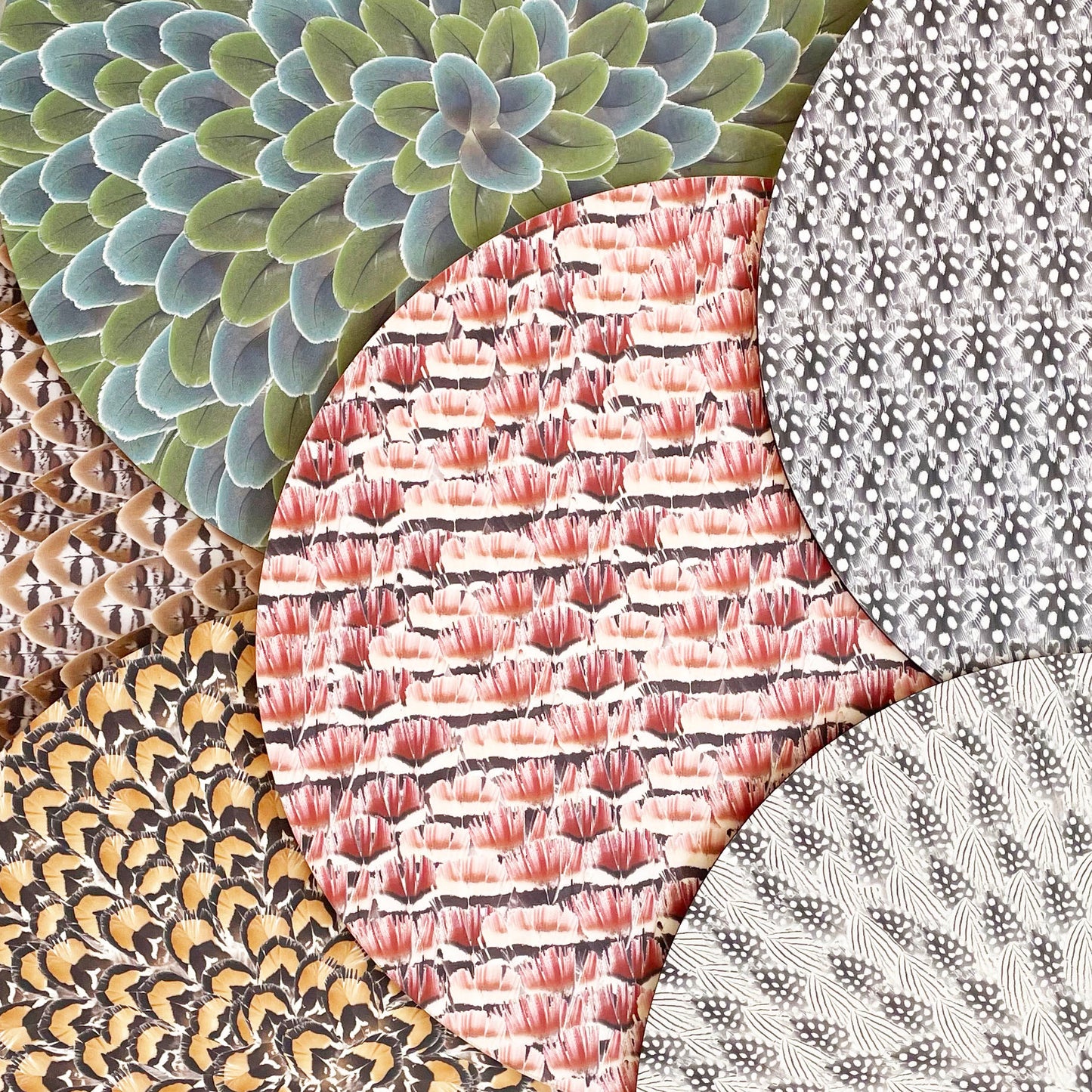 Feathers Placemats