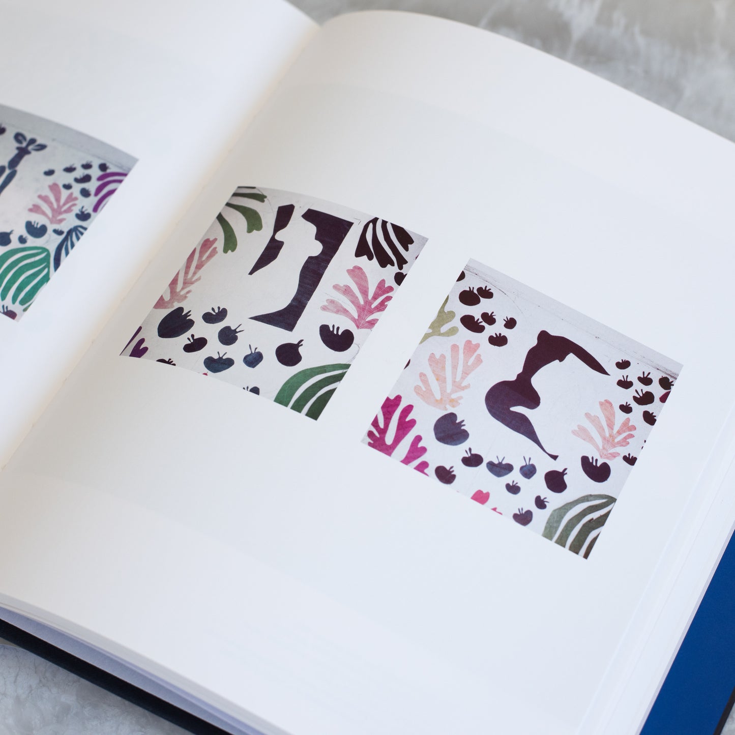 Henri Matisse: The Cut-Outs