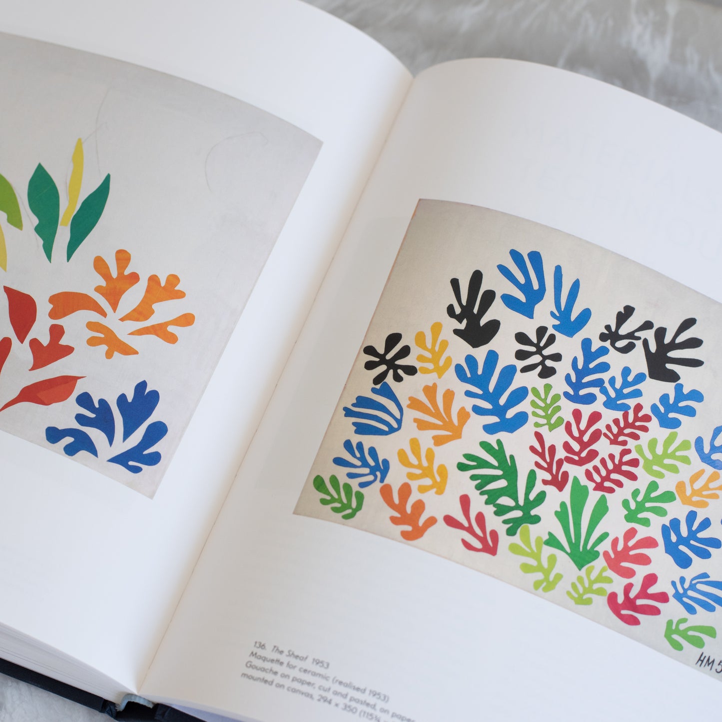 Henri Matisse: The Cut-Outs