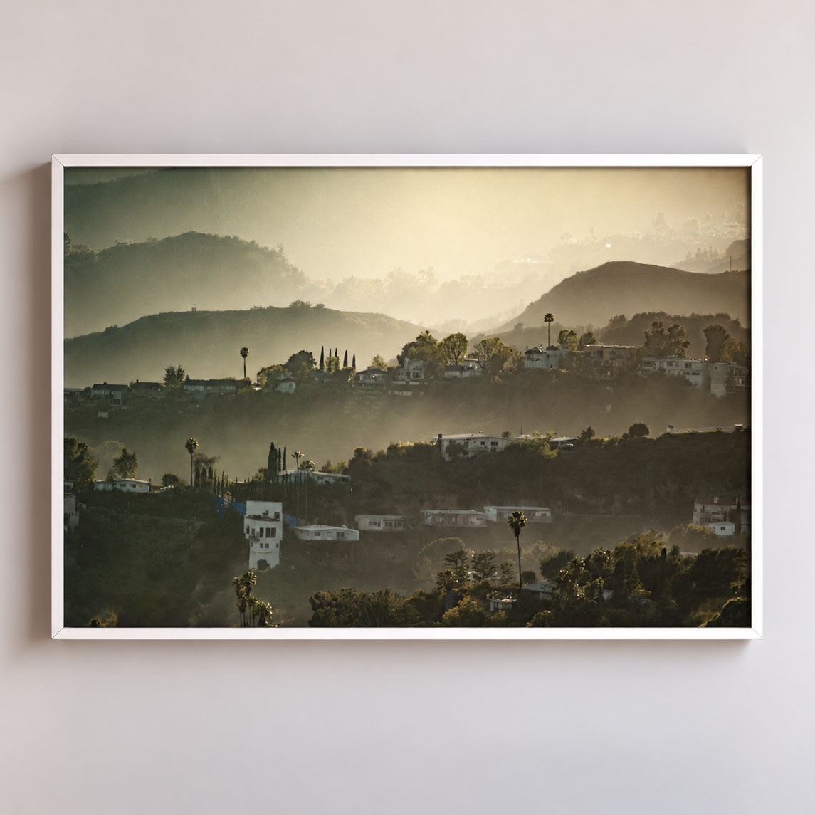 Hollywood Hills