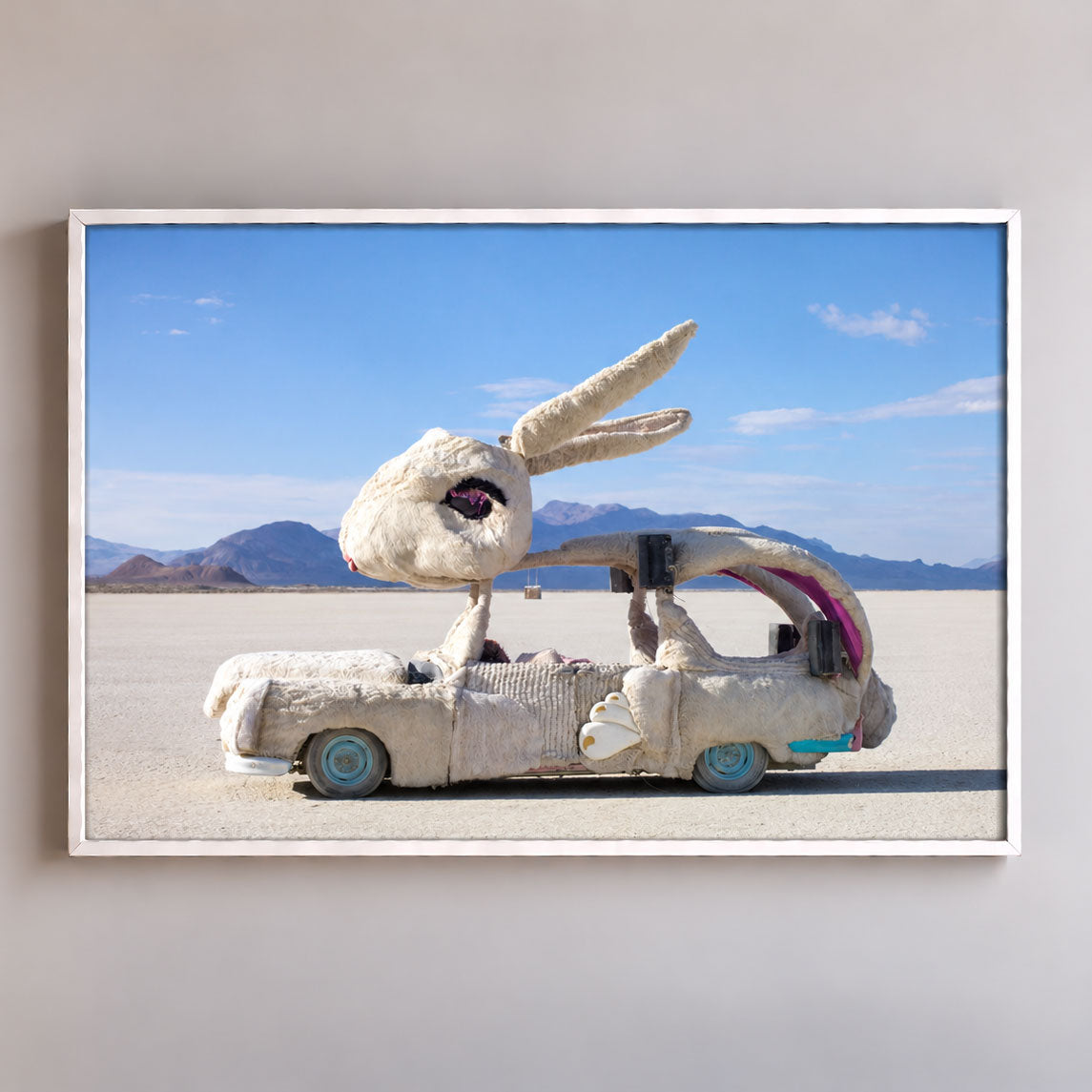 Jackrabbit