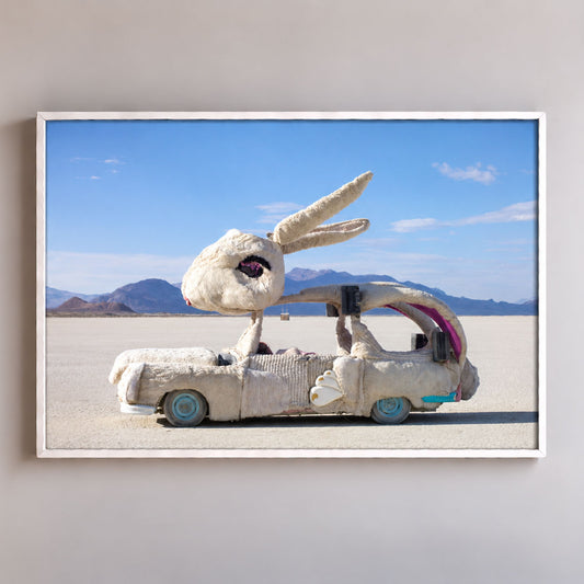 Jackrabbit