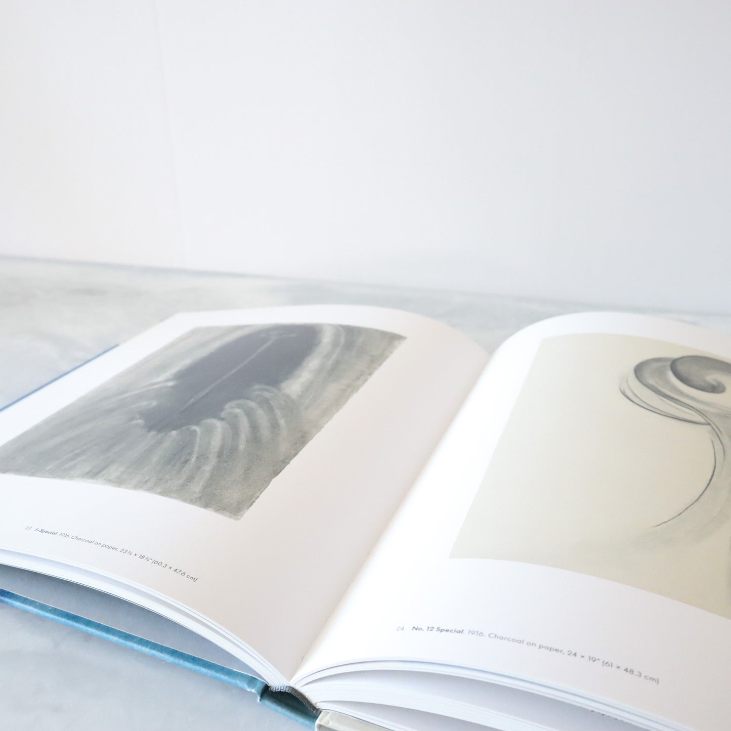 Georgia O'Keefe: To See Takes Time