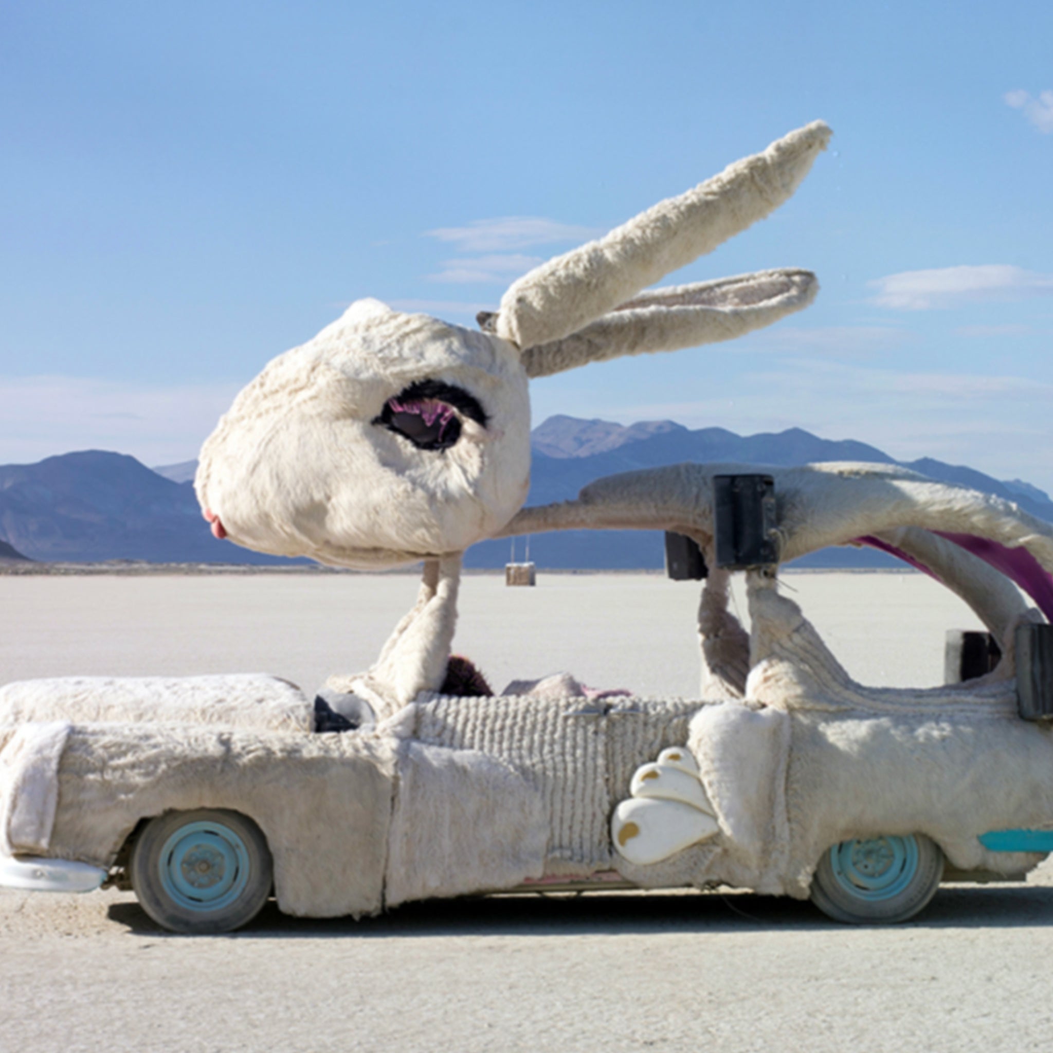 Jackrabbit – Anyon Design and Atelier