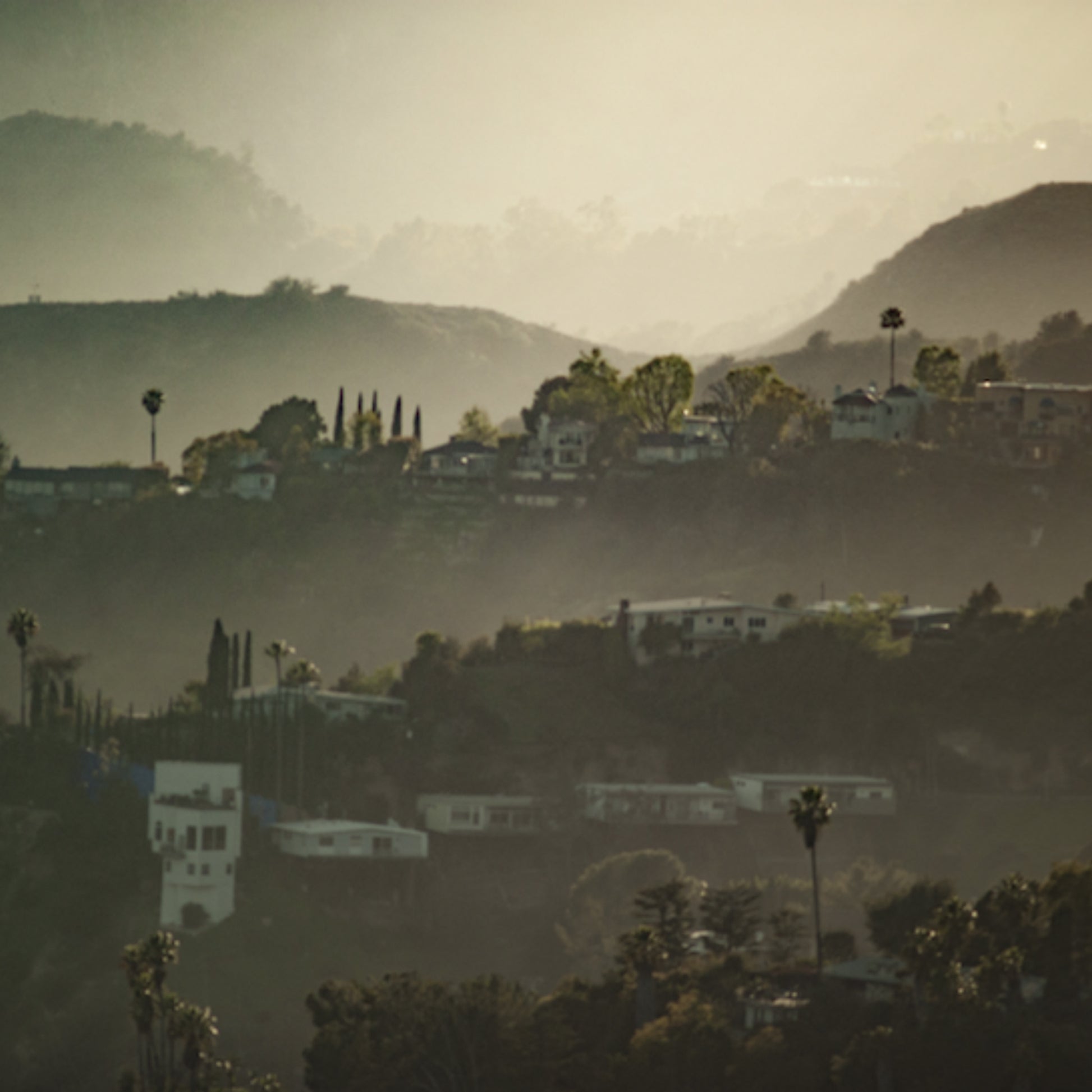 Hollywood Hills by César Ancelle-Hansen