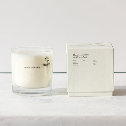 Antidris Cassis Candle with box
