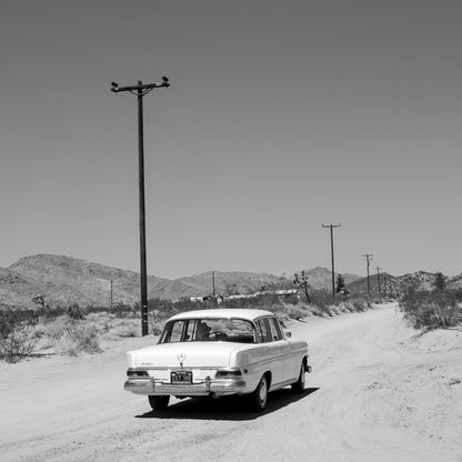 Yucca Valley, CA photograph by Sara Ferguson