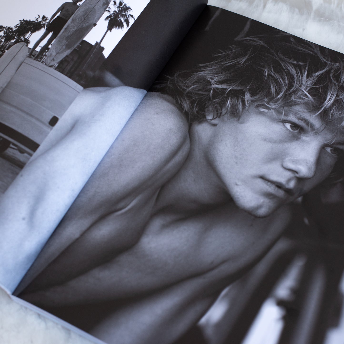 Matthew Brookes | Into the Wild