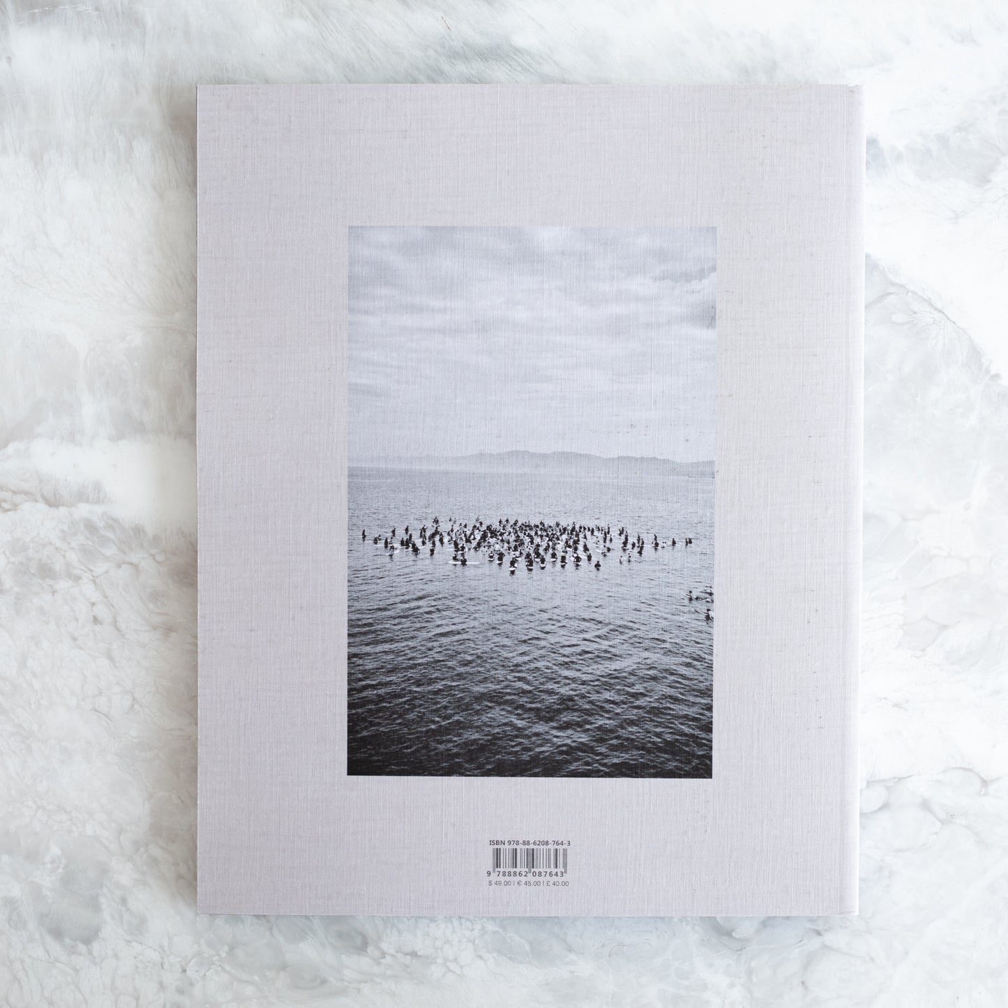 Matthew Brookes | Into the Wild