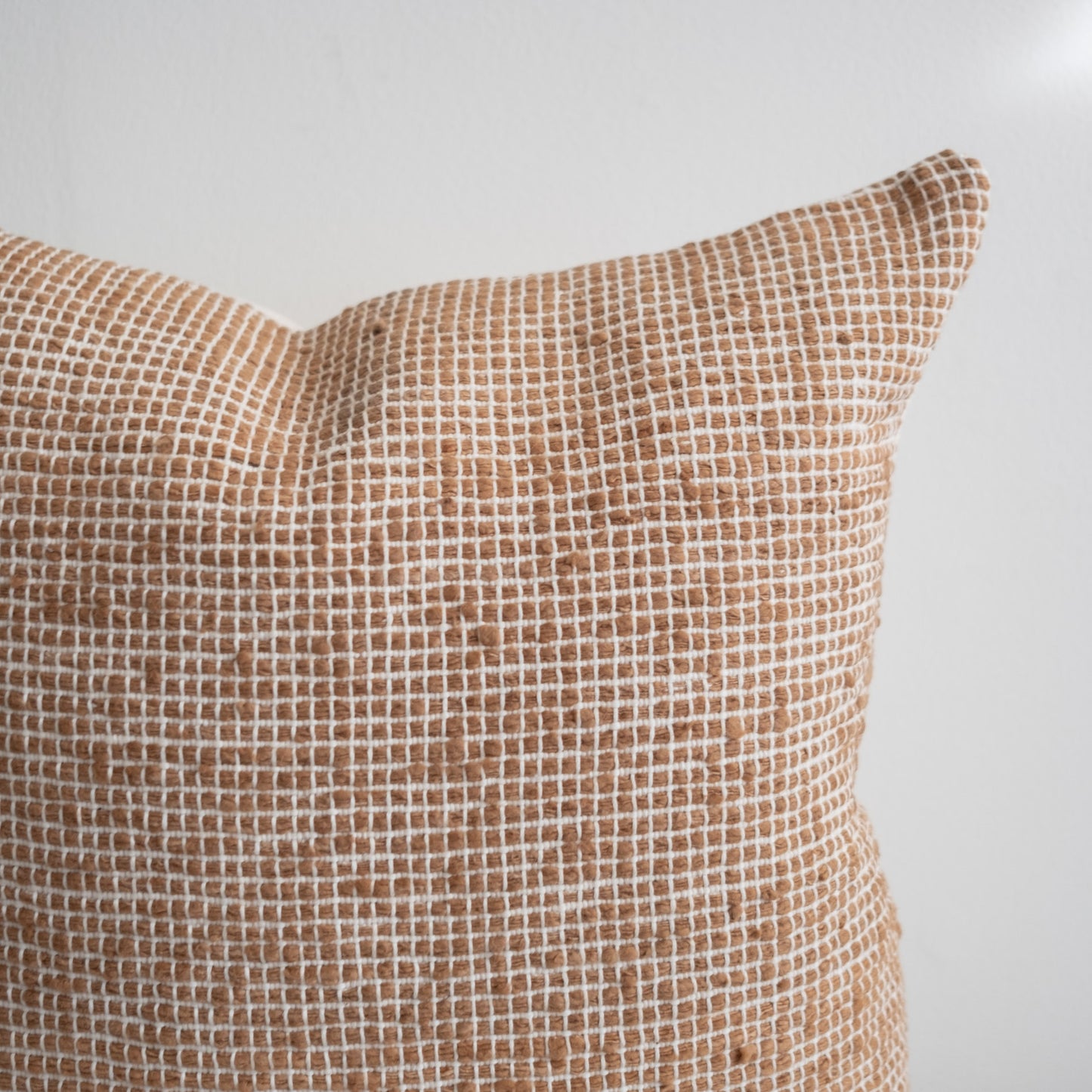 Cocuy Earth Brown Pillow